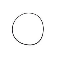 Уплотнительное кольцо корпуса насоса MAXPUMP JSW 900 