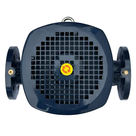 Циркуляционный насос MAXPUMP IL 50-250/15