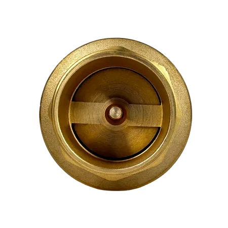 Обратный клапан MAXPUMP 2"