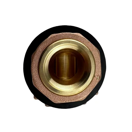 Адаптер скважинный MAXPUMP 1"